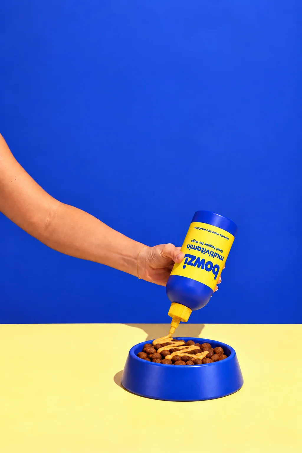 Bowzi served on dry dog kibble
